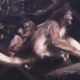 Venezuela, baby scimmia ragno in zoo a Caracas