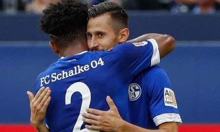 Bundesliga, Schalke-Hoffenheim 20 aprile: analisi e pronostico della giornata della massima divisione calcistica tedesca