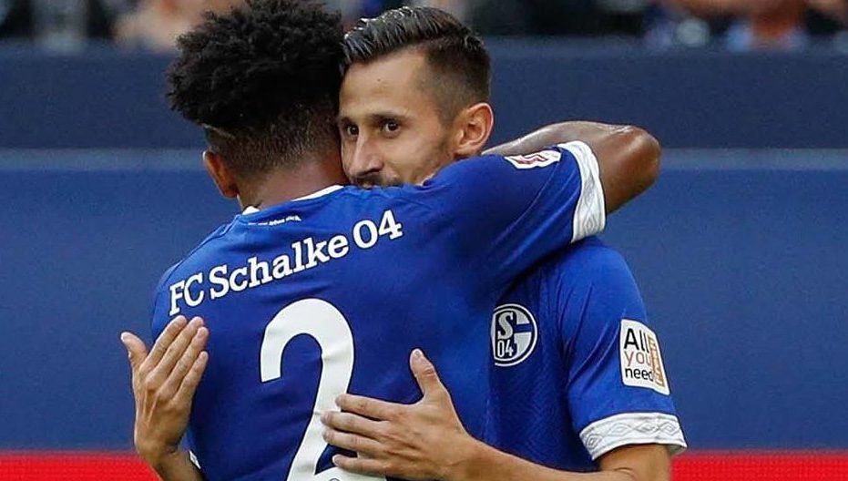 Bundesliga, Schalke-Hoffenheim 20 aprile: analisi e pronostico della giornata della massima divisione calcistica tedesca