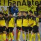 Dortmund-Colonia pronostico 24 gennaio bundesliga