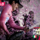 Giro d'Italia 2019 favoriti tappa 21: cronometro di Verona, l'analisi, le quote e i consigli per provare la cassa insieme al B-Lab!